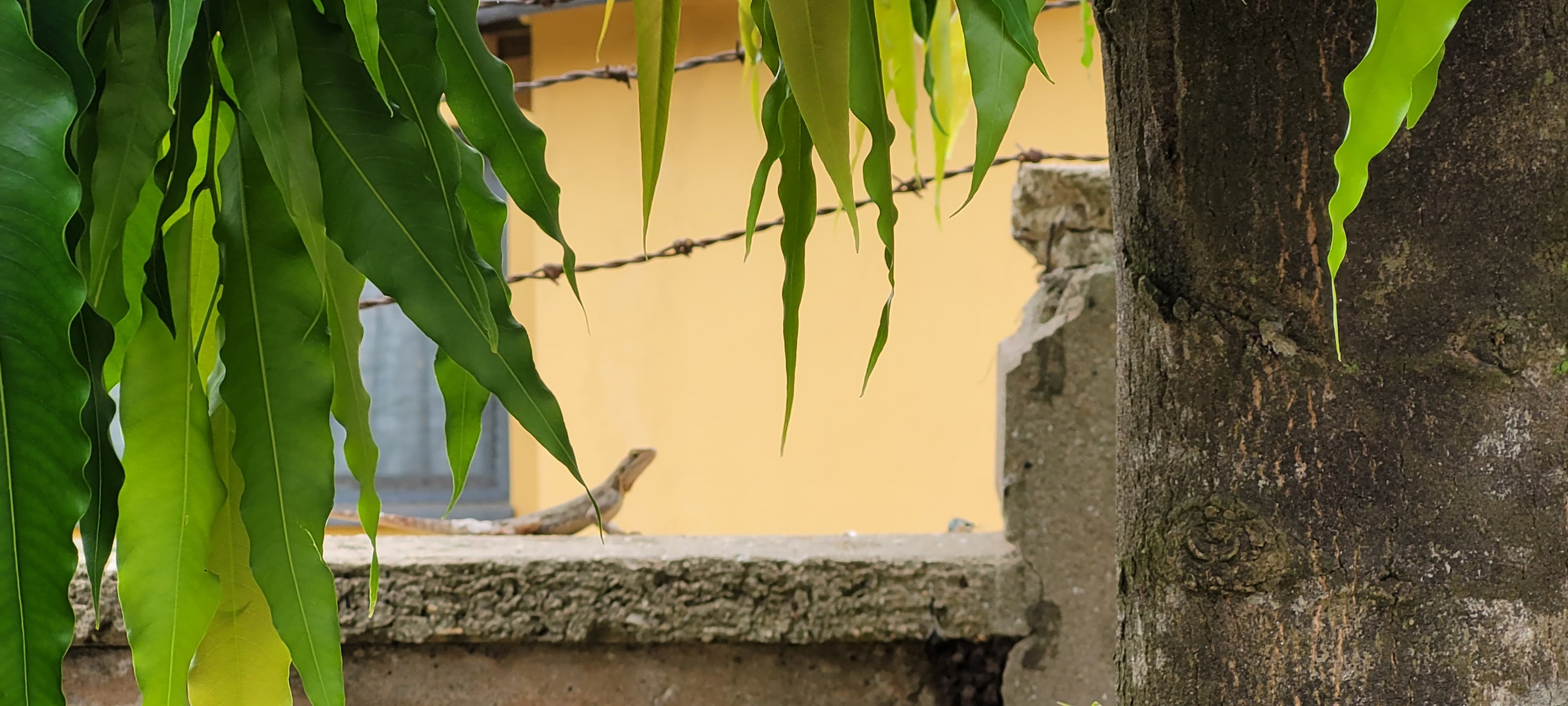 PHOTO-2025-07-10-16-39-42