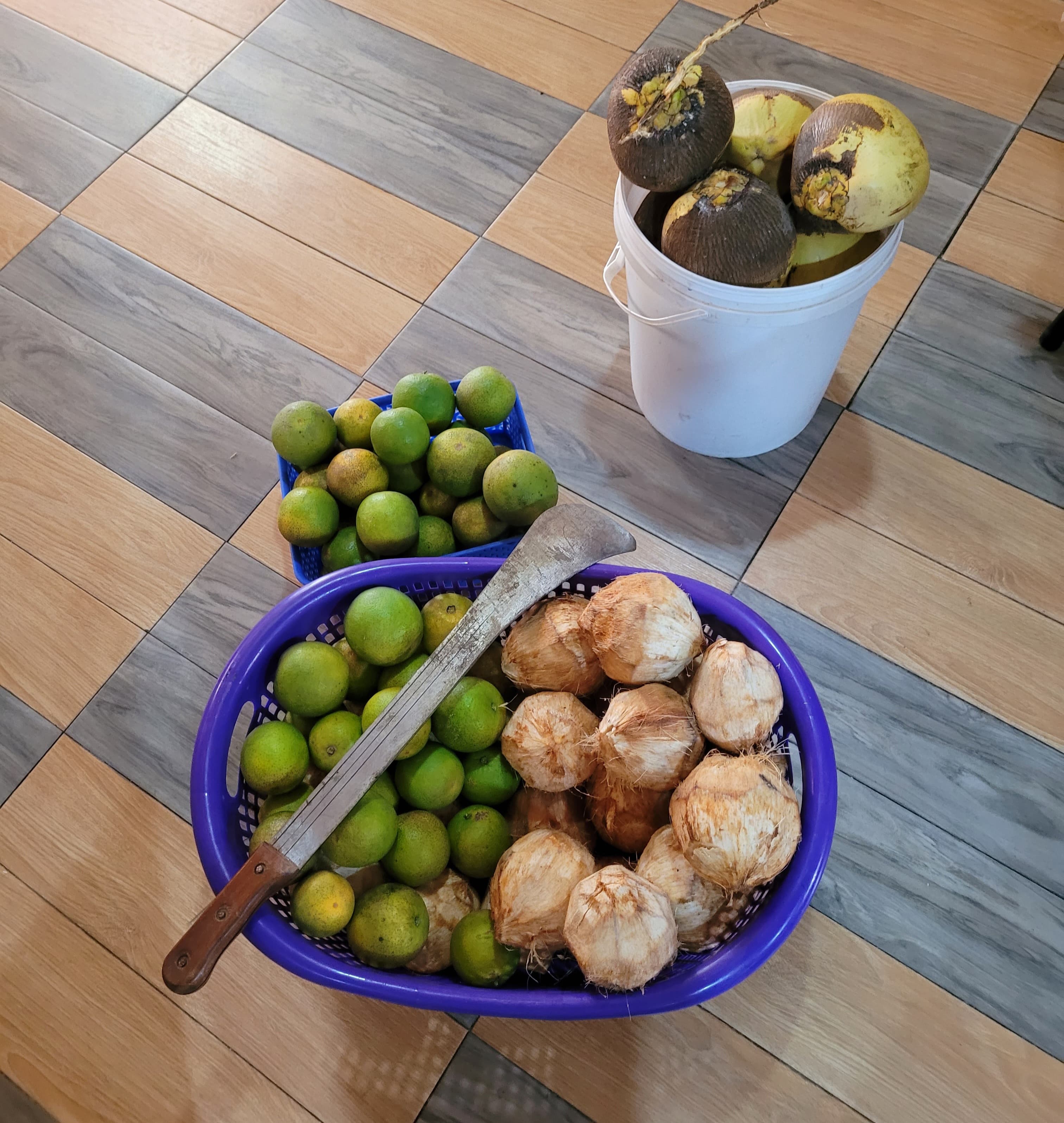 PHOTO-2025-07-15-21-31-01